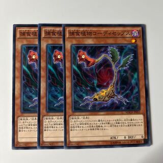 10400 捕食植物コーディセップス ノーマル JP011