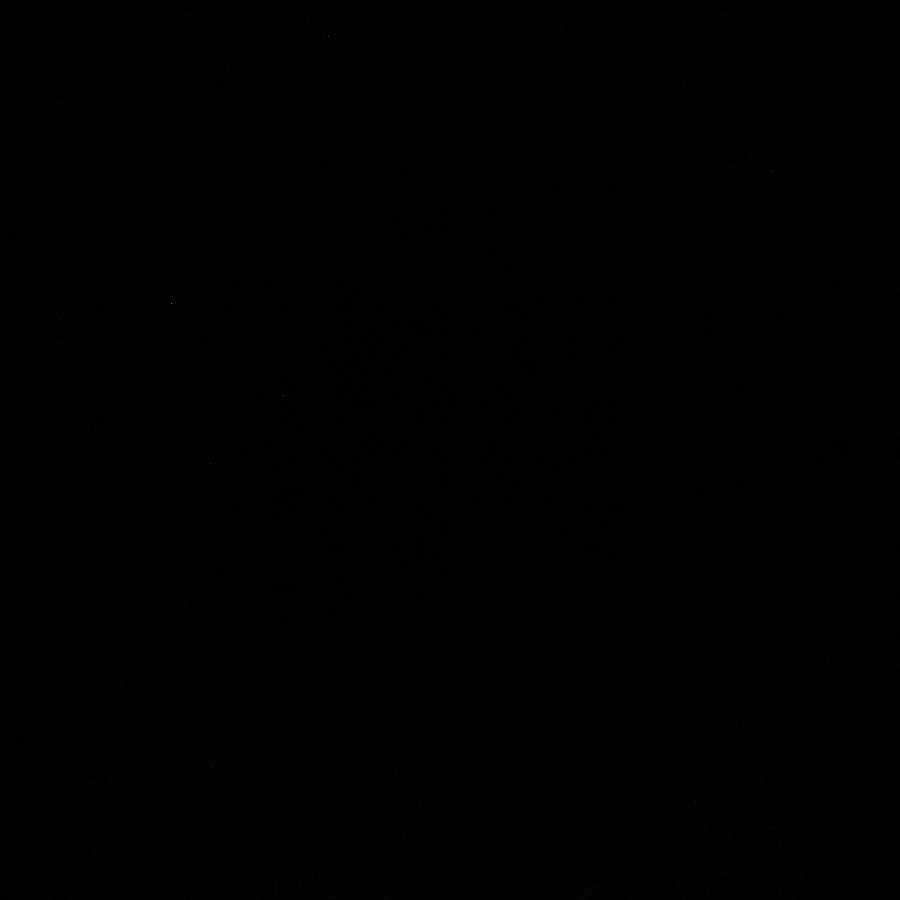 LENさま専用 ゴジータ