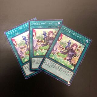 【N】アロマガーデニング【ノーマル】