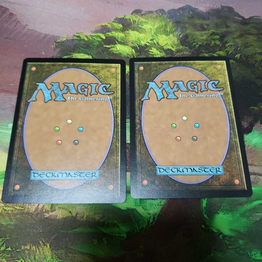 Field of Ruin [Japanese] [XLN].