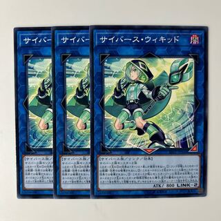 サイバース・ウィキッド $6569