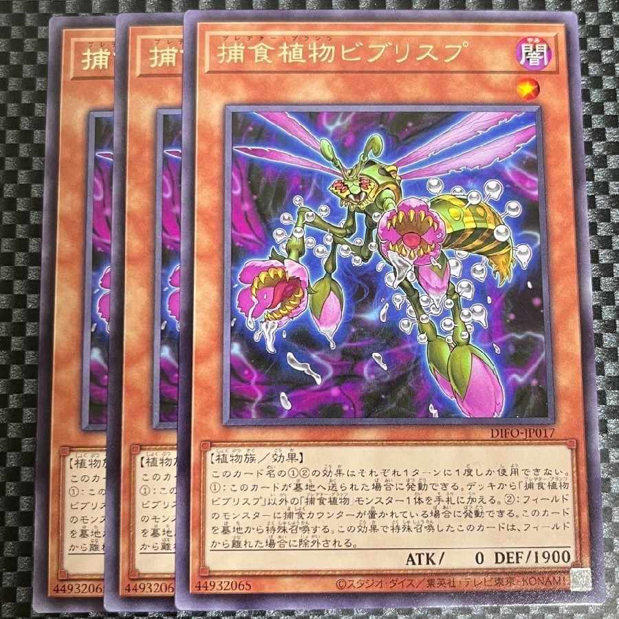 Salmon Salmon Ikura Shop 2145 Prey Upon Plant Bib Squirrel P Rare JP017