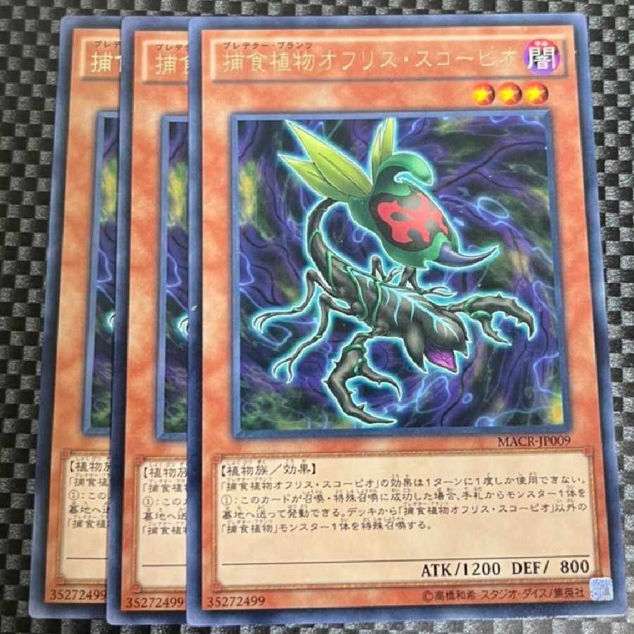 鮭イクラ商店 2153 捕食植物オフリス・スコーピオ レア JP009