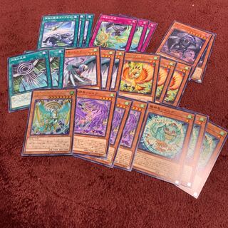 烈風の覇者シムルグ　