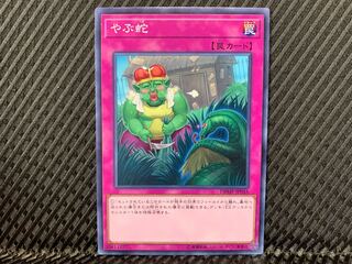 Yu-Gi-Oh! Waking the Dragon Normal