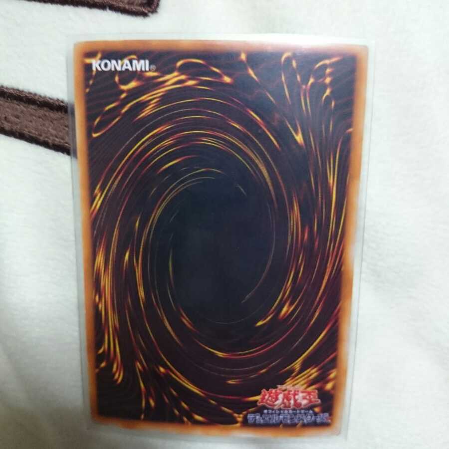 (ジョン様専用)真紅眼PGウル＋ウルパラ＋コスモクイーン＋ソードマンレリーフ 1枚