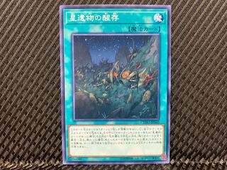 Agonouchi] Yu-Gi-Oh! World Legacy Survivor Normal