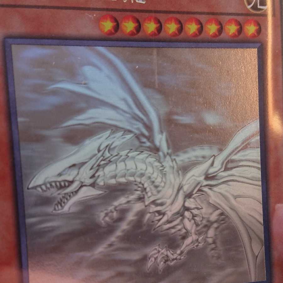 青眼の亜白龍　ホロ