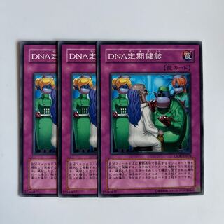 10433 DNA定期健診 ノーマル JP078