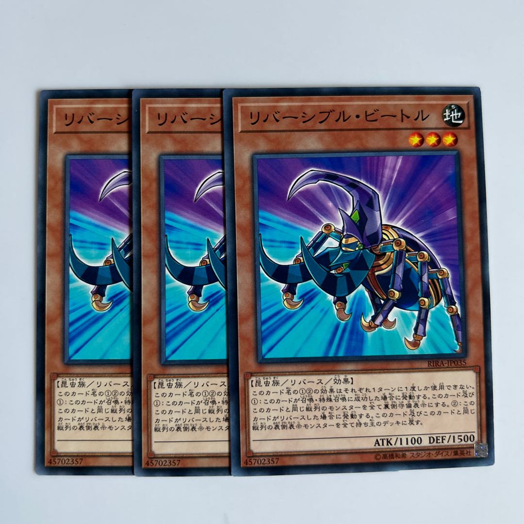 10435 Reversible Beetle $6577