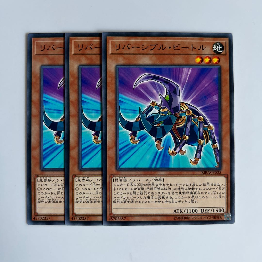 10436 Reversible Beetle $6580