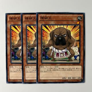 10462 横綱犬 ノーマル JP031