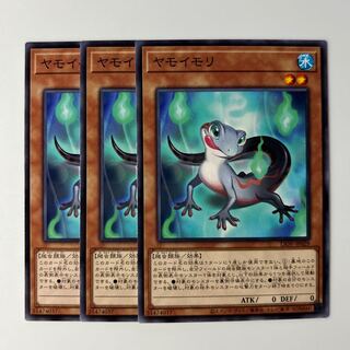 10464 ヤモイモリ ノーマル JP029