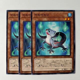 10465 ヤモイモリ ノーマル JP029