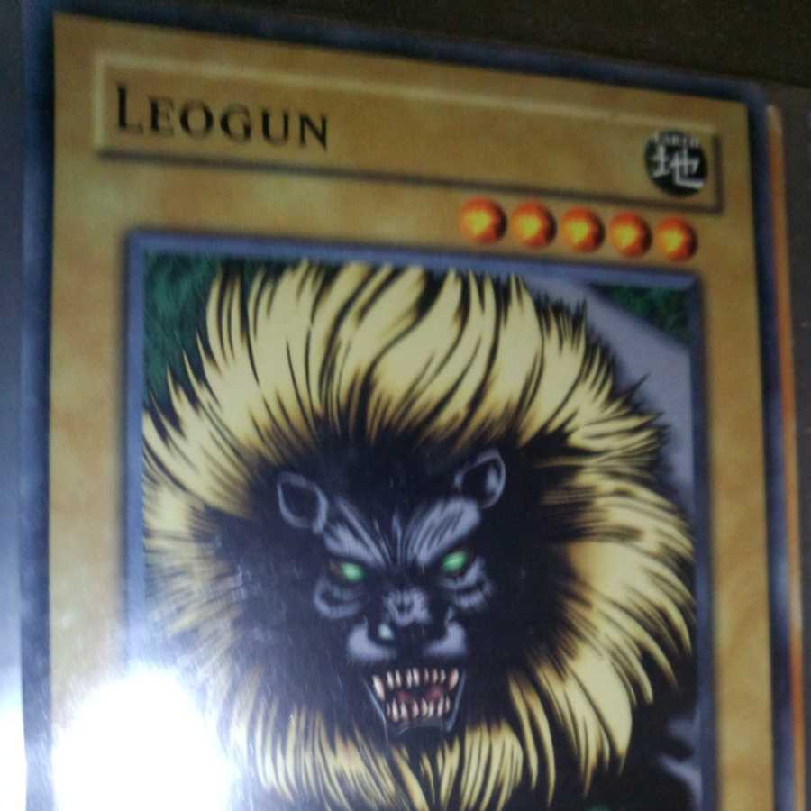 レオグン[海外版]