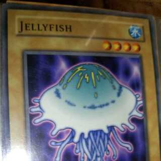 海月ージェリーフィッシュー[海外版]