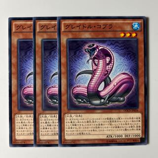 10472 Graydle Cobra $6625