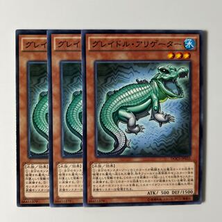 グレイドル・アリゲーター $6629