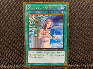 Forbidden Lance Gold