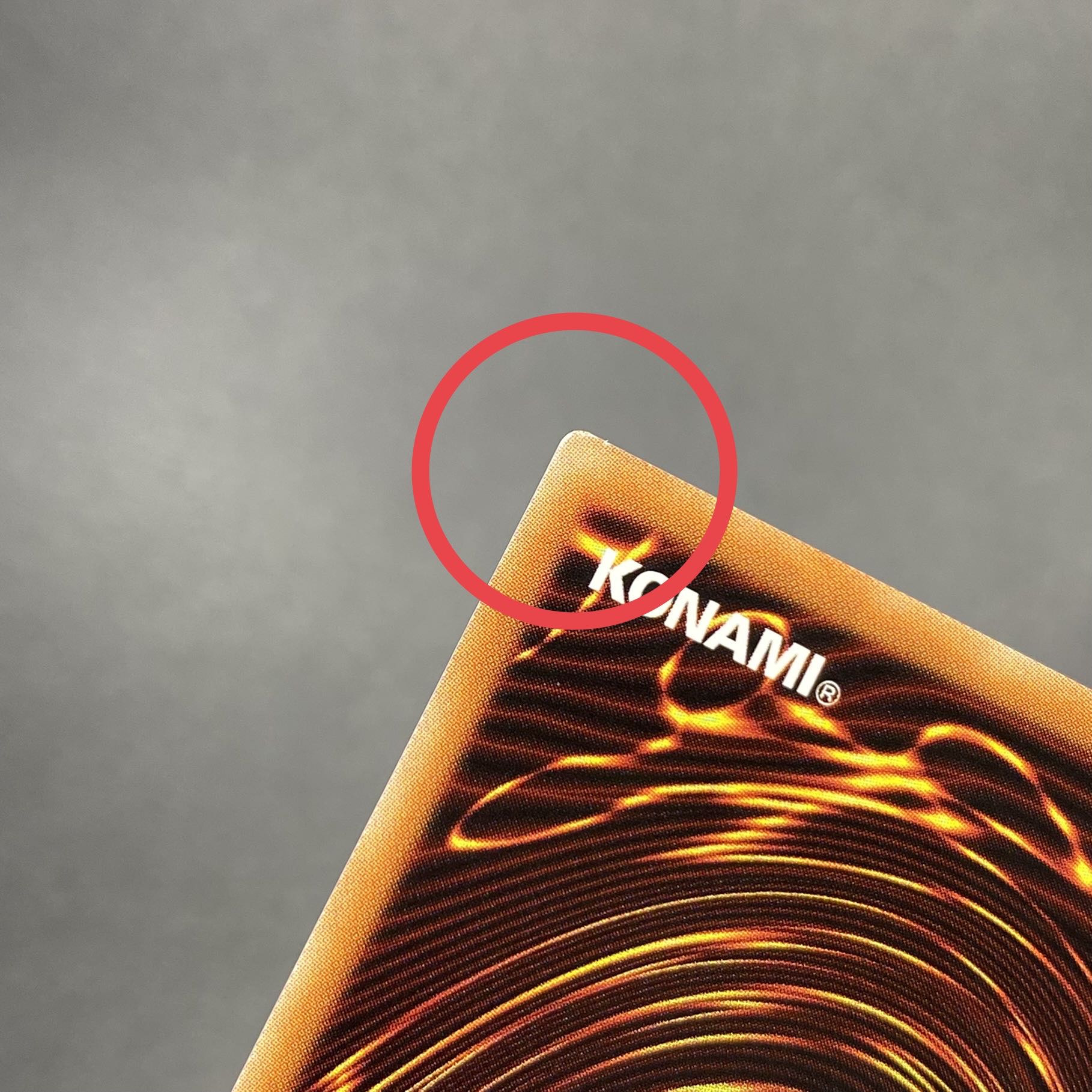 Senkohime Rei 20th 20CP-JPC02