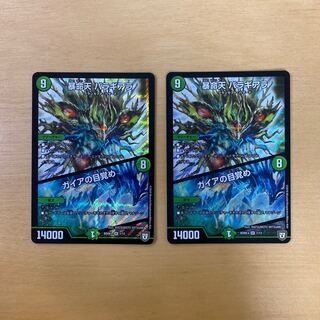 Violent Life: Baragiara｜Gaia's Awakening SR 1/13