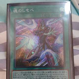 魂のしもべ　スーパー