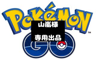 【山嵐様】専用