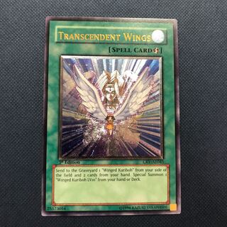 進化する翼　旧アジア　レリーフ