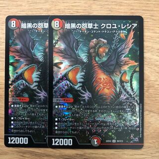 Darkness Grudge Grass Warrior Croyle Lecia SR S8/S15