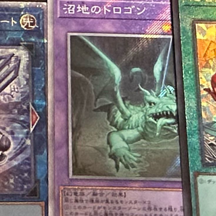 Mudragon of the Swamp EXSE JP029