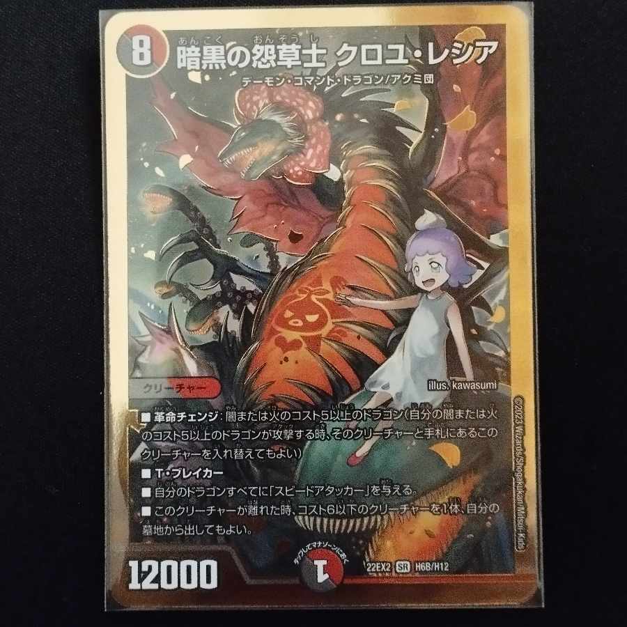 Darkness Grudge Grasshopper Croyle Lecia SR H6B/H12