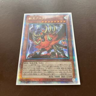 獣王アルファ QSE JP023