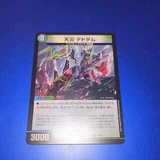 Natural disaster Dedham R 33/75