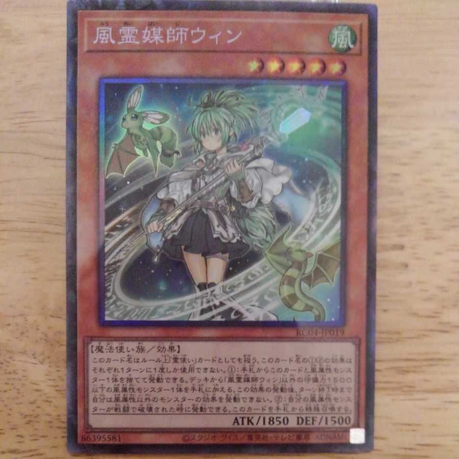 Wynn the Wind Channeler Collector's Rare JP019