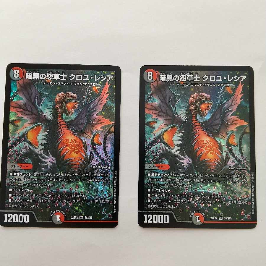 Darkness Grudge Grass Warrior Croyle Lecia SR S8/S15 DM22-EX2 Hero's Dark Side Pack -Kirifdas of Yami