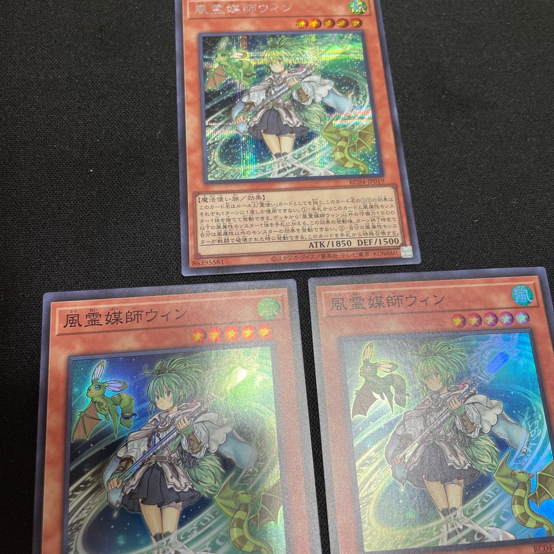 Wynn the Wind Channeler Secret Rare JP019, 2 Rare