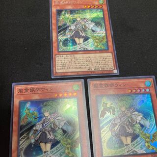 Wynn the Wind Channeler Secret Rare JP019, 2 Rare