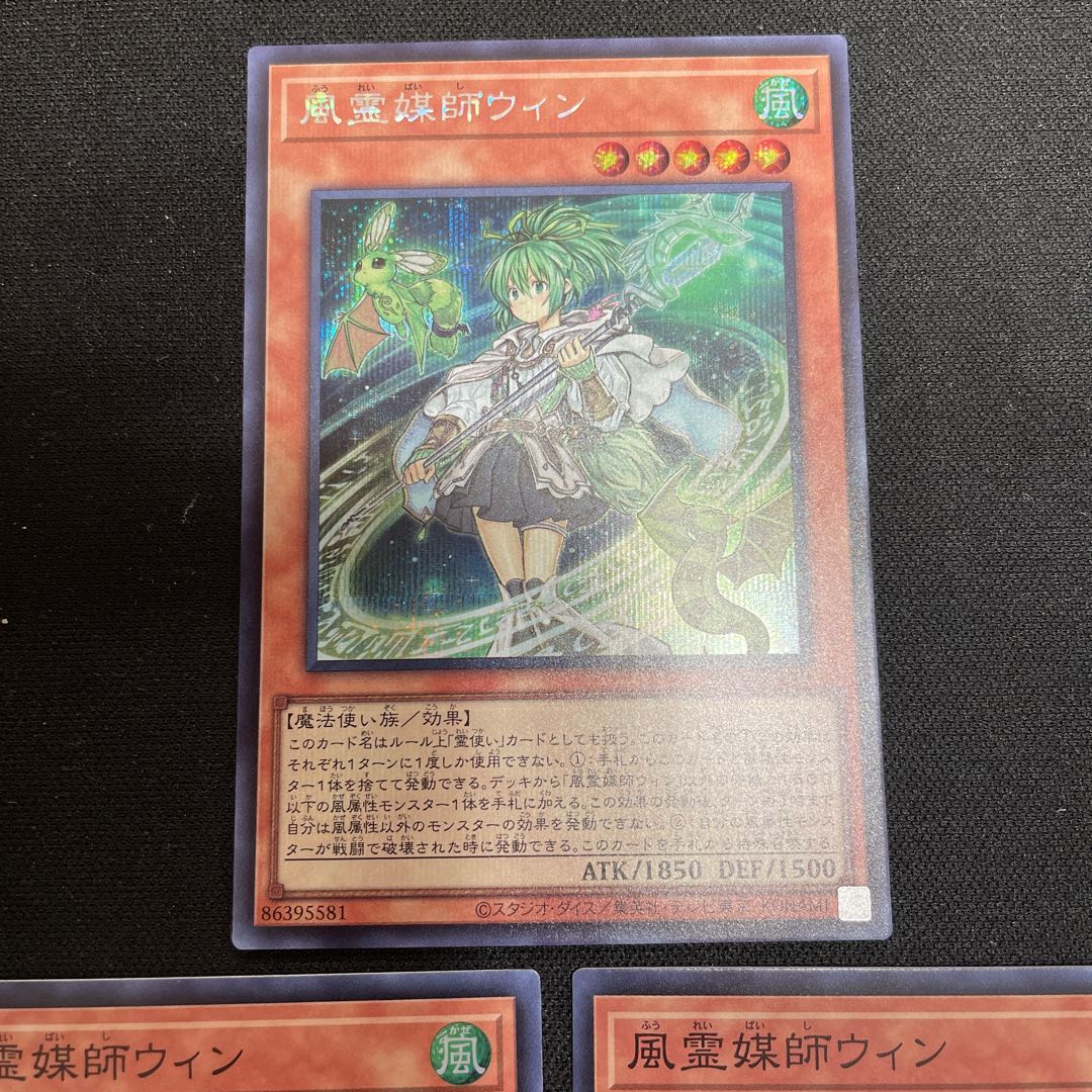 Wynn the Wind Channeler Secret Rare JP019, 2 Rare
