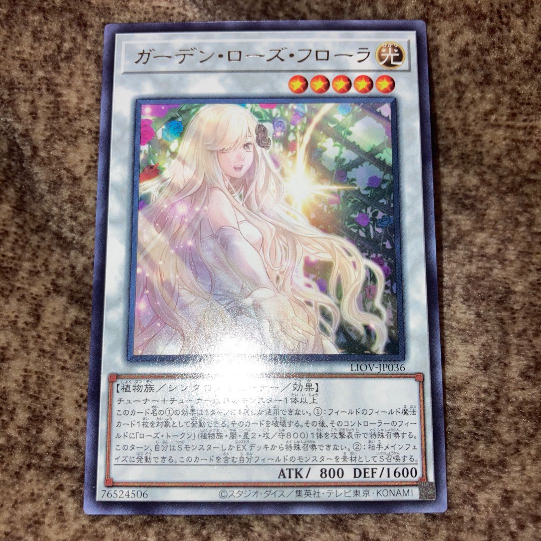 Garden Rose Flora Rare ,Rescue Rabbit Ultra