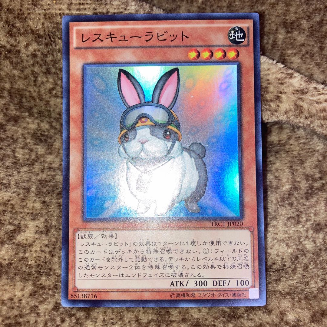 Garden Rose Flora Rare ,Rescue Rabbit Ultra