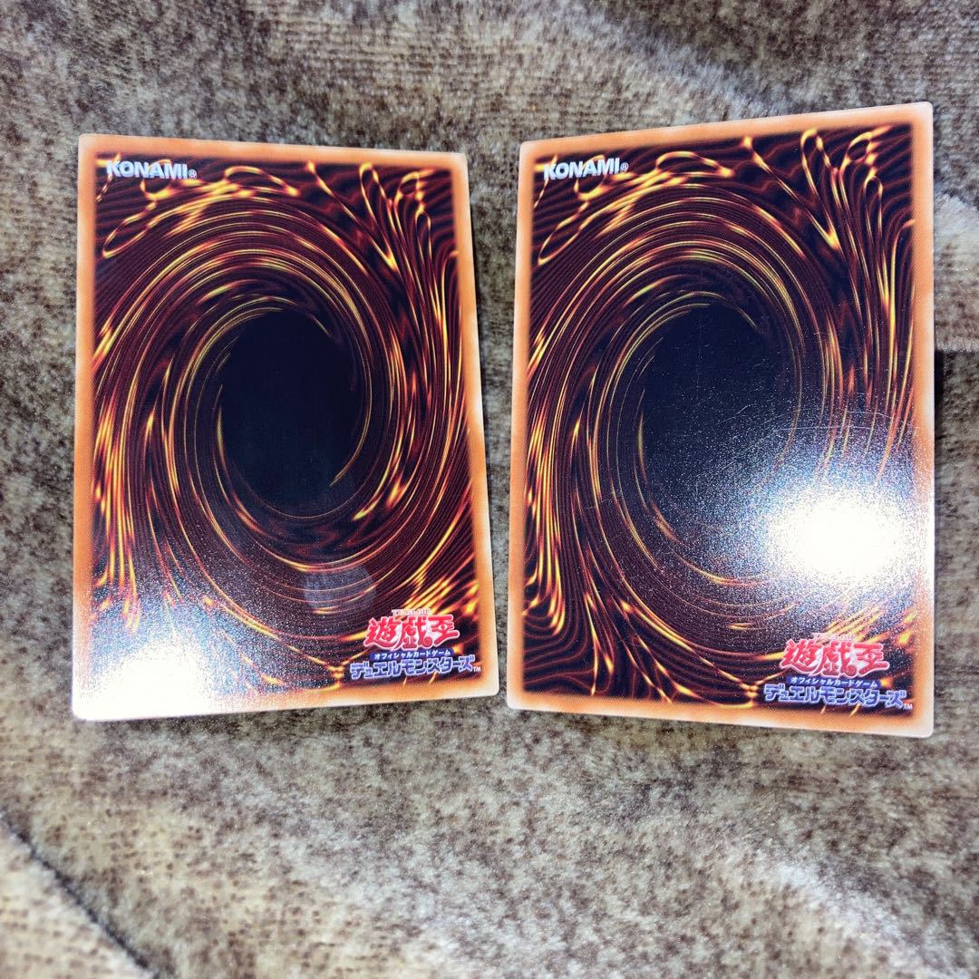 Garden Rose Flora Rare ,Rescue Rabbit Ultra