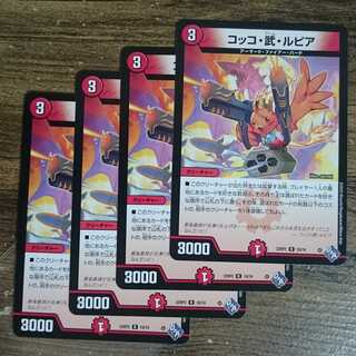 Cocco Bu Lupia R 19/74