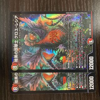 Darkness Grudge Grass Warrior Croyle Lecia SR S8/S15