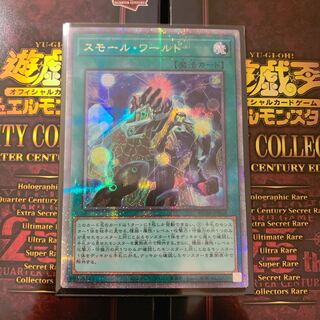 ゆう様専用　スモール・ワールド QSE JP068