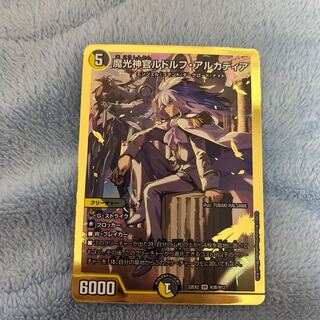 Rudolf Arcadia SR H3B/H12