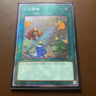 Fossil Dig EXSE JP054