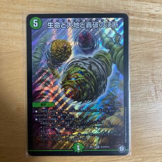 Life Life, Earth and Roaring Decision SR S12/S12