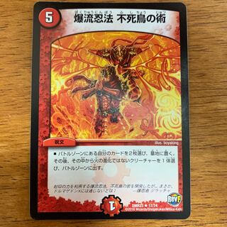爆流忍法　不死鳥の術