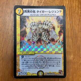 真実の名 タイガー･レジェンド　値下げ可