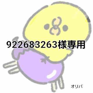 922683263様専用 1枚
